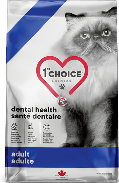 1st Choice Dental Health (Dry)